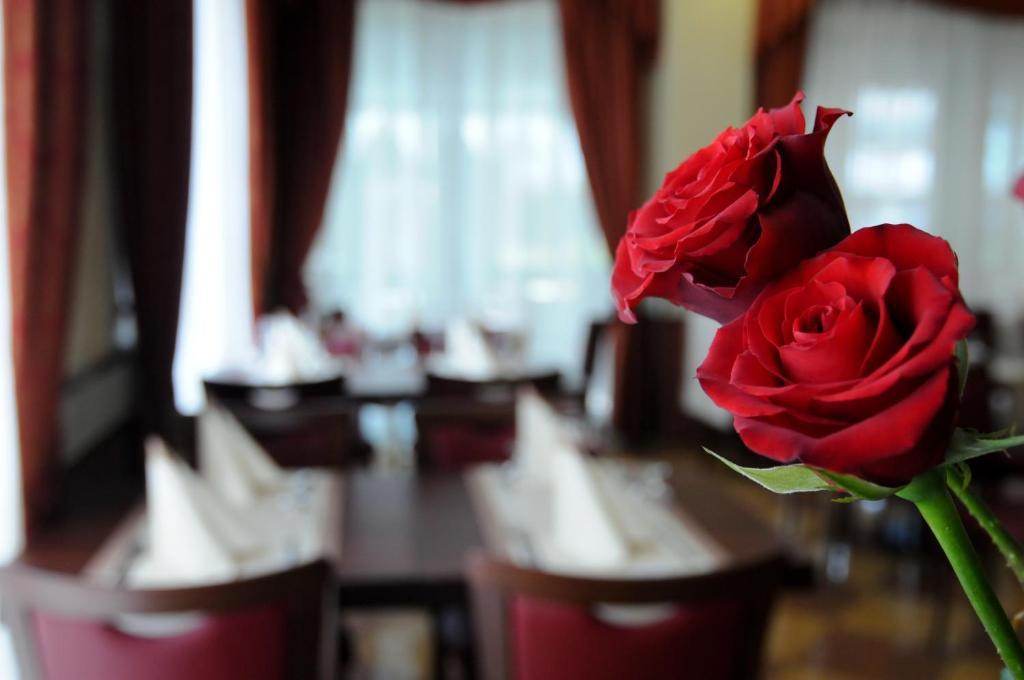 Hotel Dei Platani Rimini Ngoại thất bức ảnh