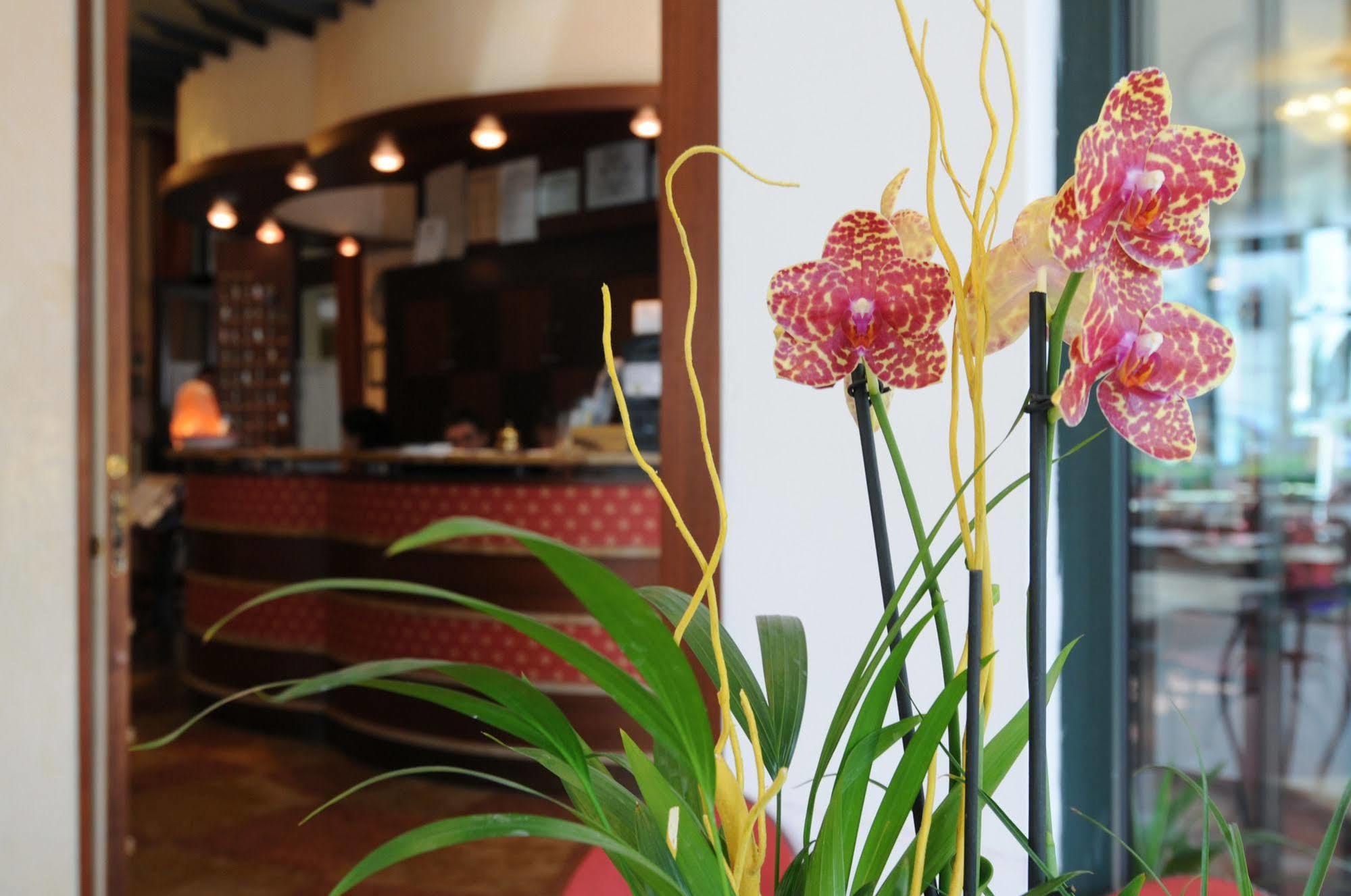 Hotel Dei Platani Rimini Ngoại thất bức ảnh